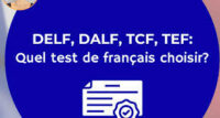 cours de langue tef tcf delf dalf studies langue