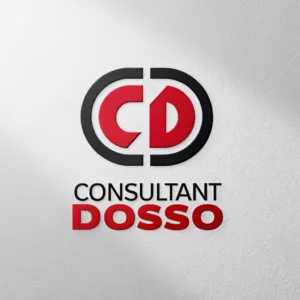 Consultant DOSSO, formateur studies learning Leadership Transformationnel