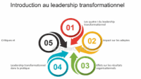 Consultant DOSSO, formateur studies learning Leadership Transformationnel