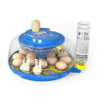FORMATION EN CONFECTION D'INCABATEUR DES OEUFS, Embel Marius studies learning