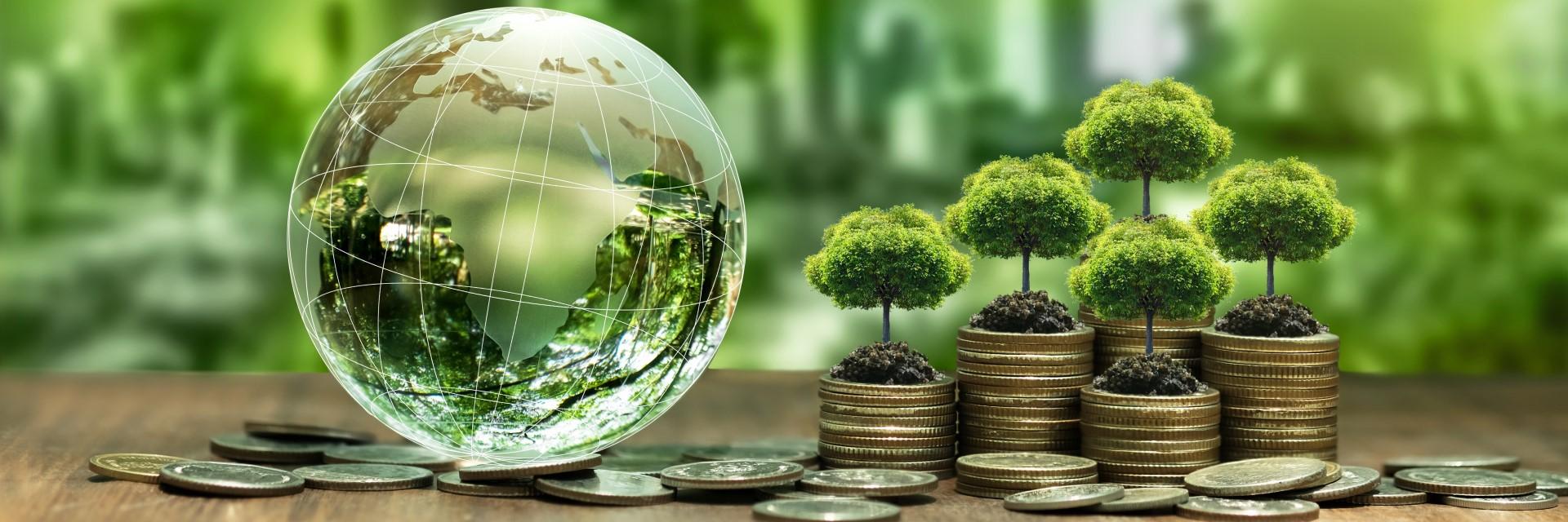 Studies learning Jean Ngoume certification green finance